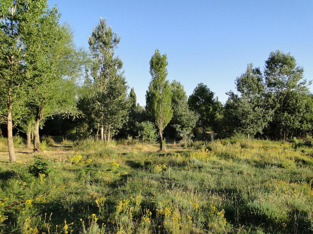 בית הארחה San Martin de la Vega del Alberche 	La Casita Del Alberche מראה חיצוני תמונה