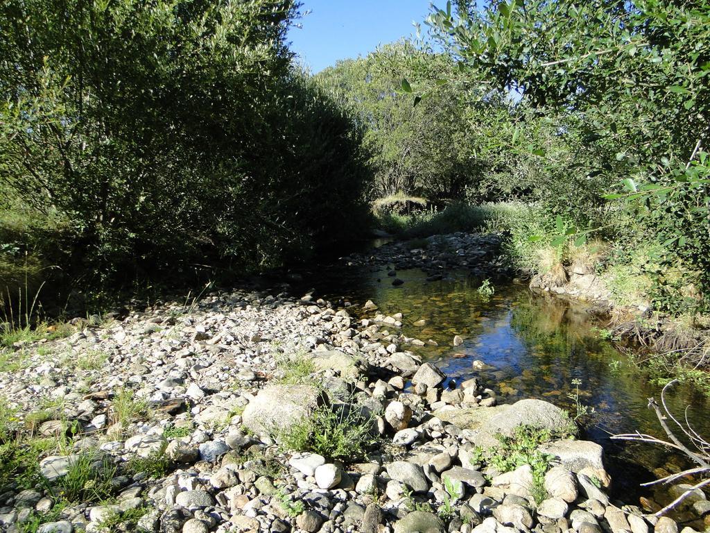 בית הארחה San Martin de la Vega del Alberche 	La Casita Del Alberche מראה חיצוני תמונה