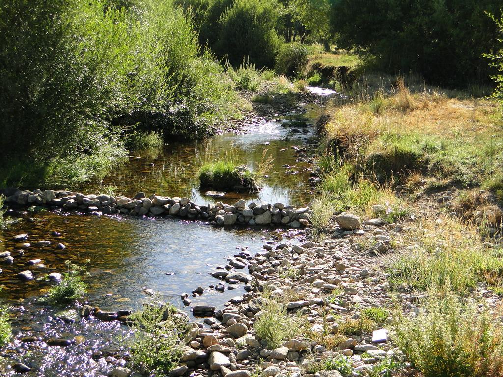 בית הארחה San Martin de la Vega del Alberche 	La Casita Del Alberche מראה חיצוני תמונה